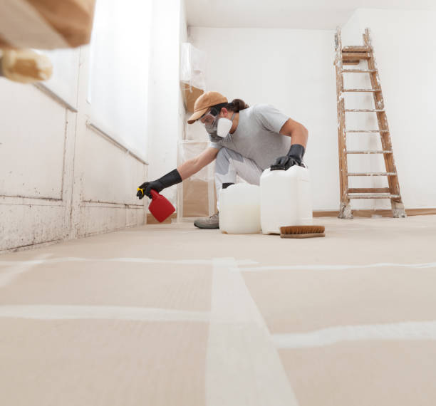 Trusted Big Lake, MN Mold Removal Experts