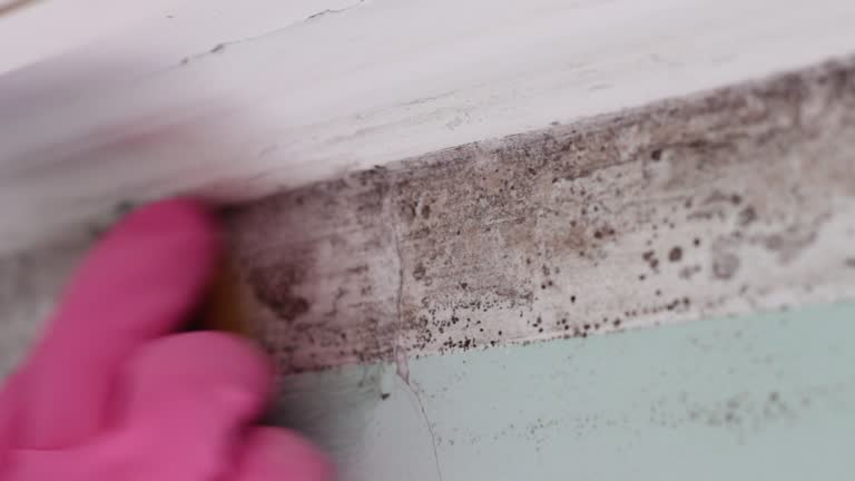 Best Airborne Mold Testing  in Big Lake, MN
